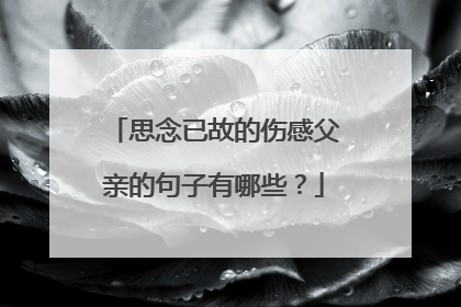 思念已故的伤感父亲的句子有哪些?