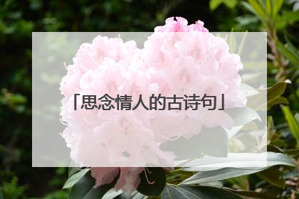 思念情人的古诗句