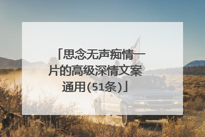 思念无声痴情一片的高级深情文案通用(51条)