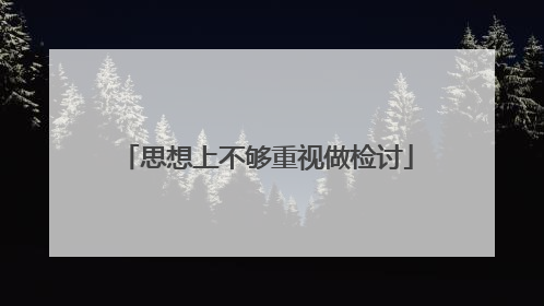思想上不够重视做检讨