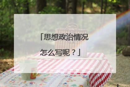 思想政治情况怎么写呢?