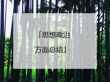 思想政治方面总结