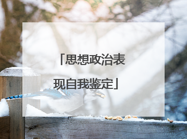 思想政治表现自我鉴定