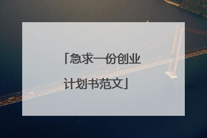 急求一份创业计划书范文