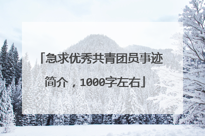 急求优秀共青团员事迹简介，1000字左右