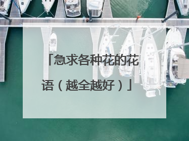 急求各种花的花语(越全越好)