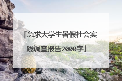 急求大学生暑假社会实践调查报告2000字