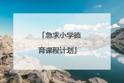 急求小学德育课程计划