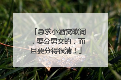 急求小酒窝歌词，要分男女的，而且要分得很清！