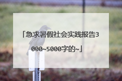 急求暑假社会实践报告3000~5000字的~