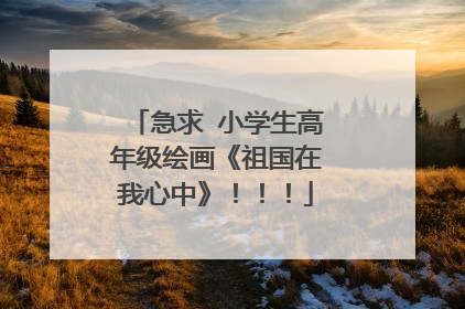 急求 小学生高年级绘画《祖国在我心中》!!!