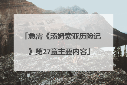 急需《汤姆索亚历险记》第27章主要内容