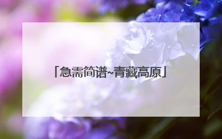 急需简谱~青藏高原