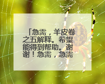 急需,羊皮卷之五解释。希望能得到帮助。谢谢!急需,急需,希望能得到帮助。