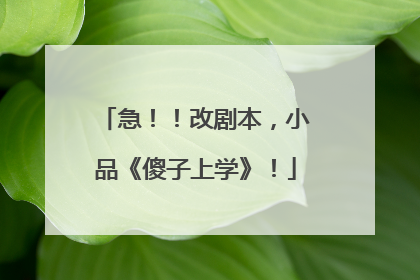 急！！改剧本，小品《傻子上学》！