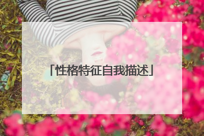 性格特征自我描述