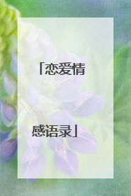 恋爱情感语录