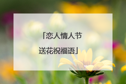 恋人情人节送花祝福语