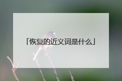 恢复的近义词是什么