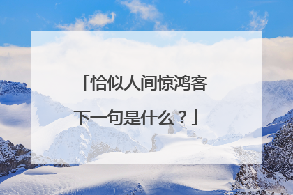 恰似人间惊鸿客下一句是什么?