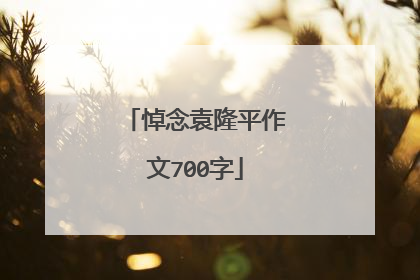 悼念袁隆平作文700字