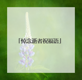 悼念逝者祝福语