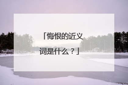 悔恨的近义词是什么？