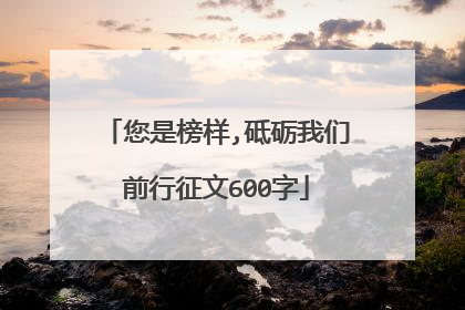 您是榜样,砥砺我们前行征文600字