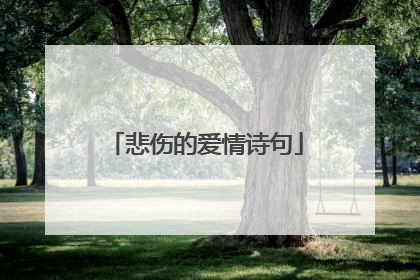 悲伤的爱情诗句