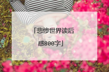 悲惨世界读后感800字