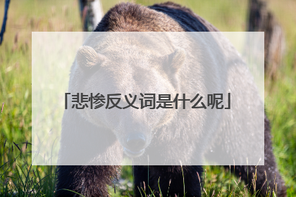 悲惨反义词是什么呢