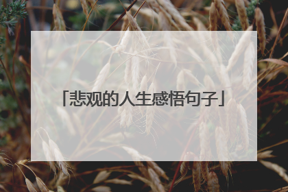 悲观的人生感悟句子