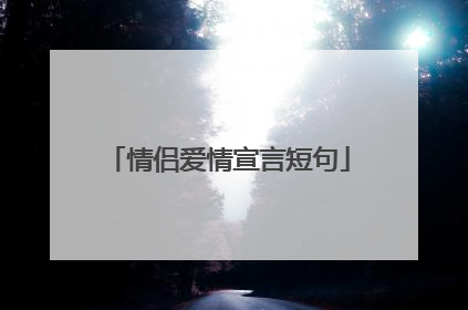 情侣爱情宣言短句