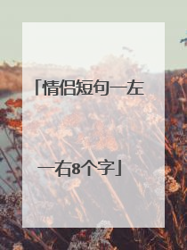 情侣短句一左一右8个字