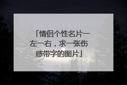 情侣个性名片一左一右，求一张伤感带字的图片