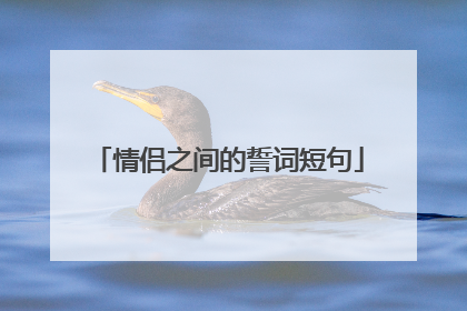 情侣之间的誓词短句