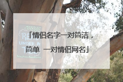情侣名字一对简洁，简单 一对情侣网名