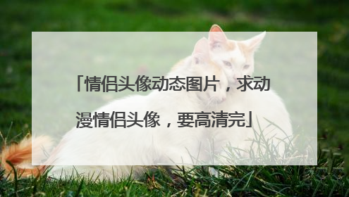 情侣头像动态图片，求动漫情侣头像，要高清完