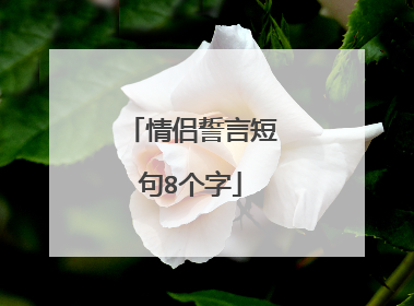 情侣誓言短句8个字