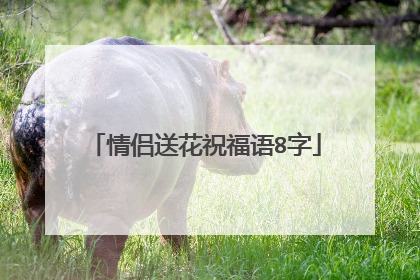 情侣送花祝福语8字
