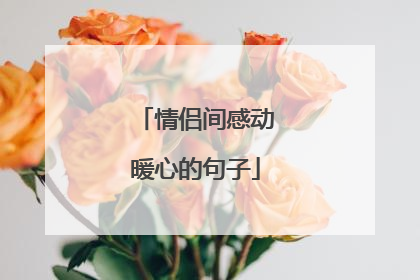 情侣间感动暖心的句子