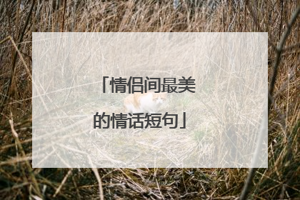 情侣间最美的情话短句