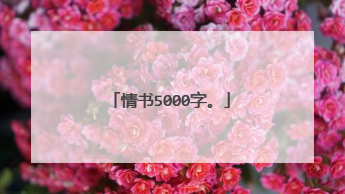 情书5000字。