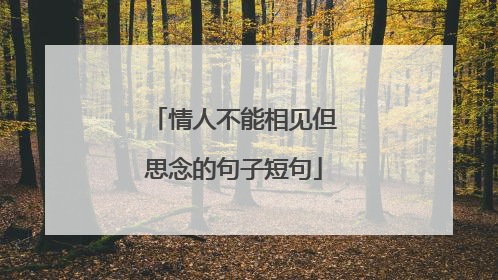 情人不能相见但思念的句子短句
