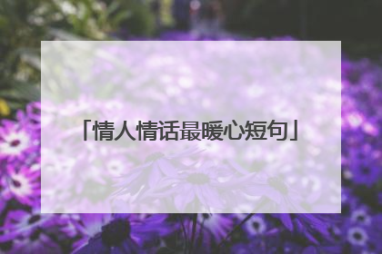 情人情话最暖心短句