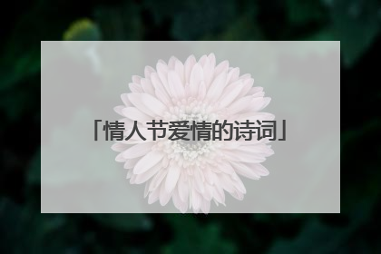 情人节爱情的诗词