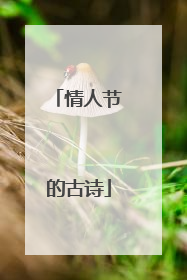 情人节的古诗