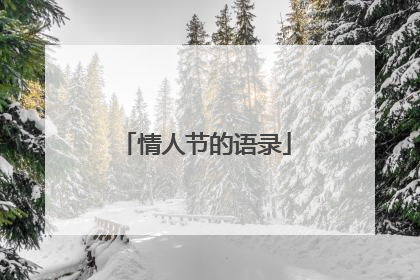 情人节的语录