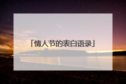 情人节的表白语录