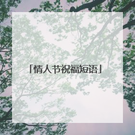 情人节祝福短语